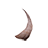 Horn